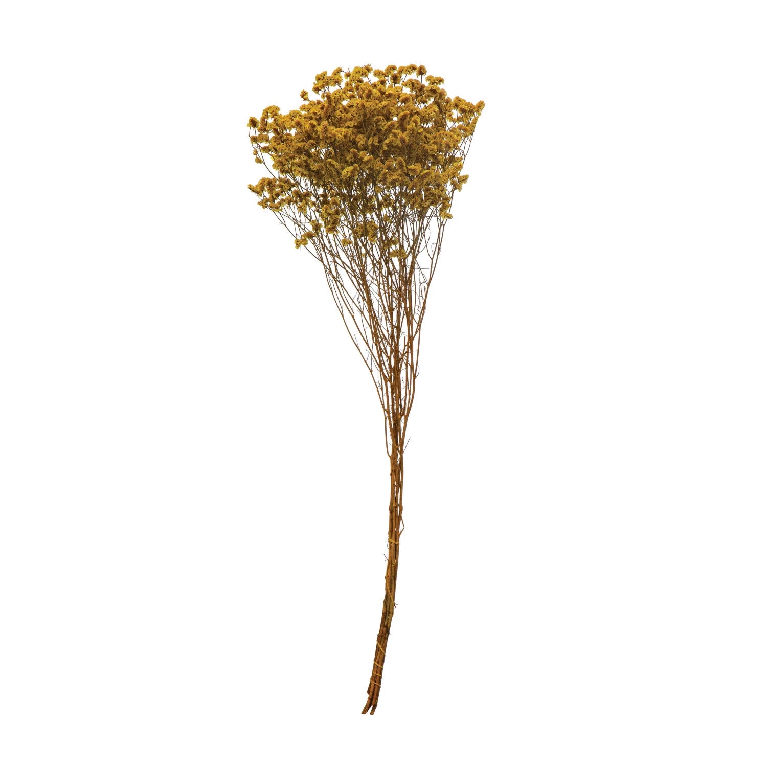 Dried natural pearl grass bunch