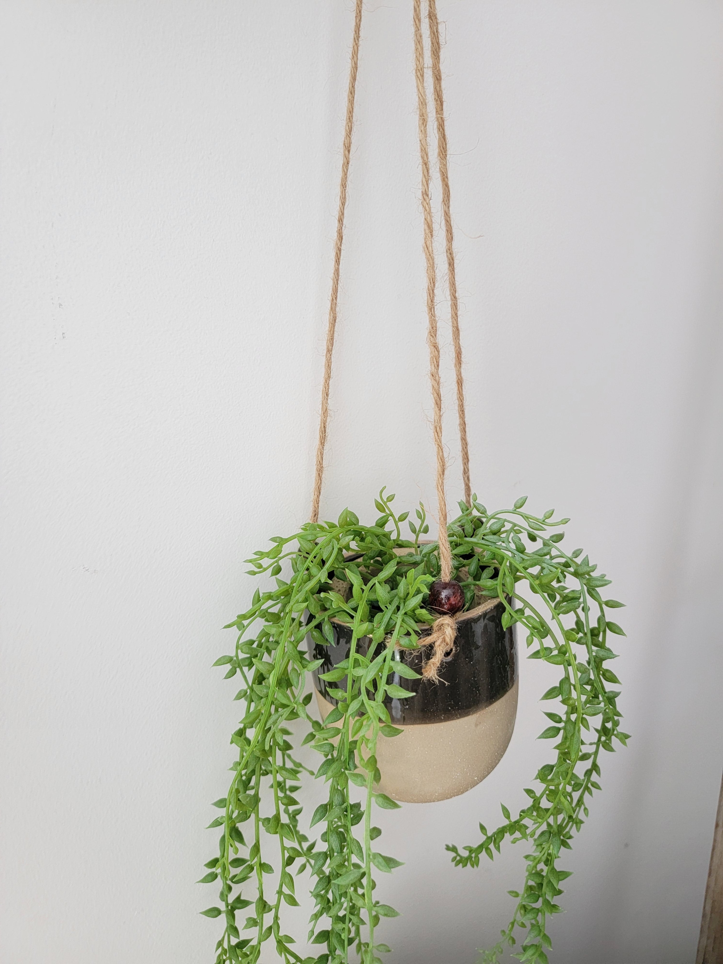 Faux hanging plant 3 styles