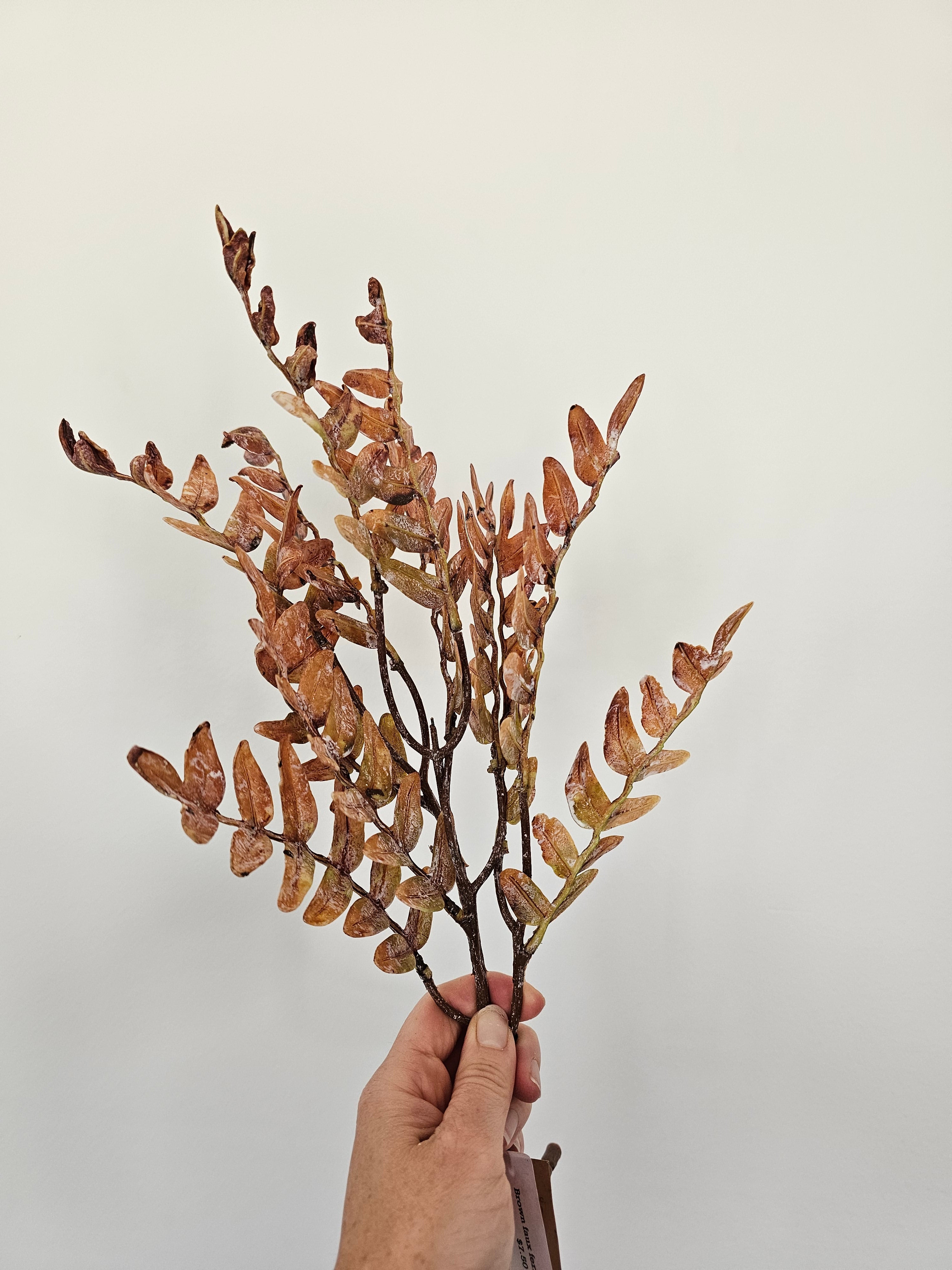 Brown faux fern leaf pick