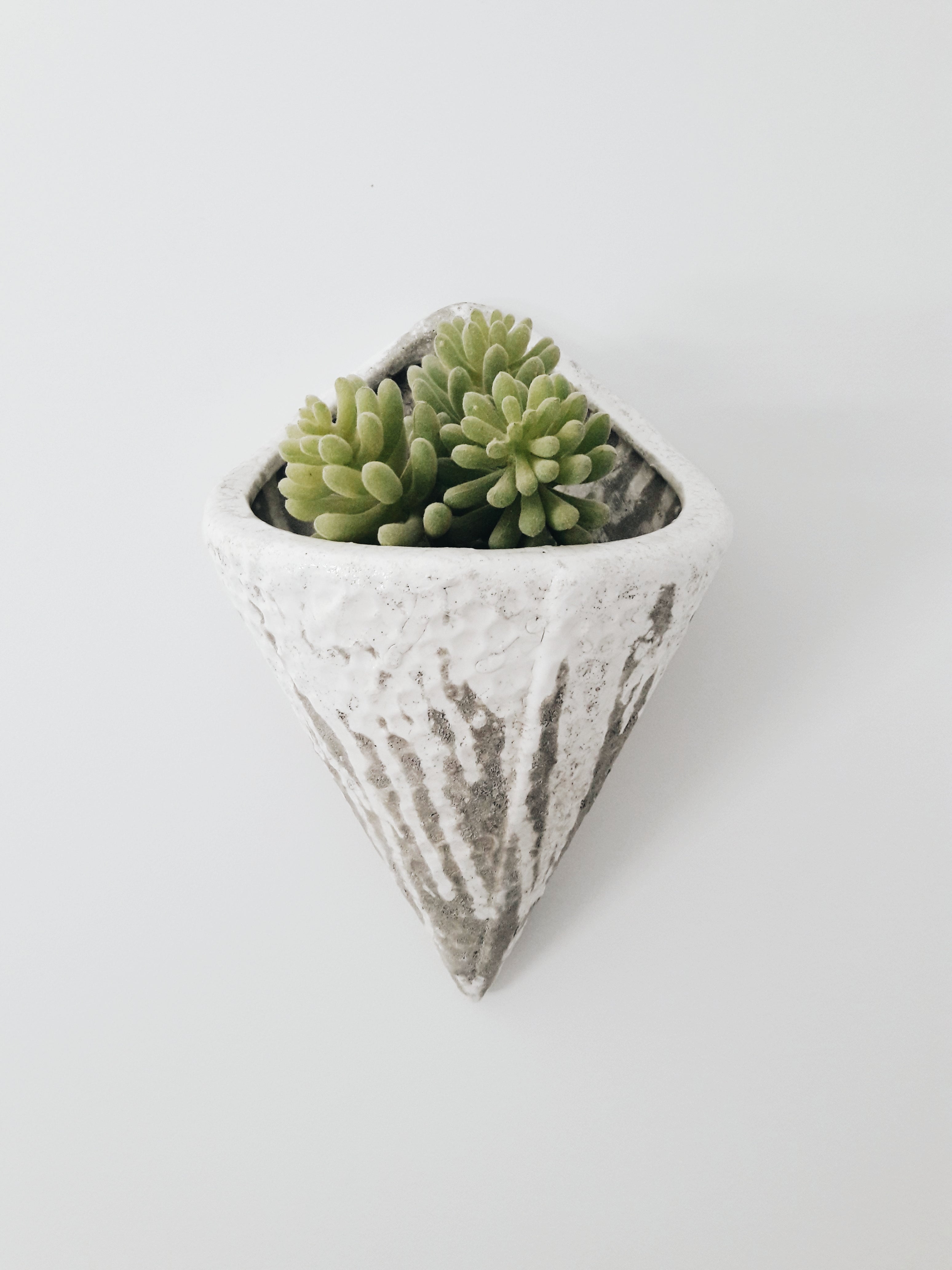 Cement Wall Planter