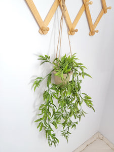 Faux hanging plant 3 styles