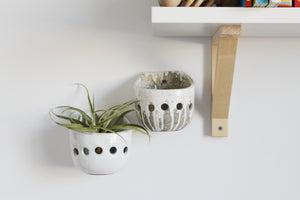 Wall planters 3 colors